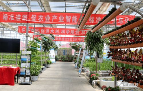 加快工廠化循環(huán)水養(yǎng)殖裝備技術(shù)創(chuàng)新，助推水產(chǎn)養(yǎng)殖綠色高效發(fā)展